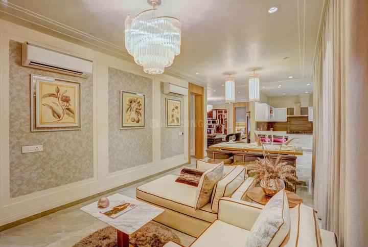 Janta Falcon View Main Image 1