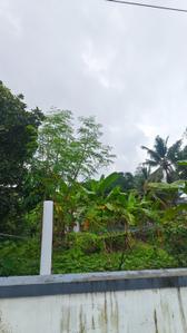 Image of 6525 Sq.ft Residential Plot / Land for sale in Kakkanad, Kochi for Rs. 1600000