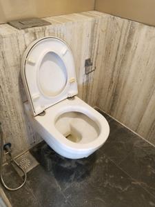 Common Bathroom Image of 800 Sq.ft 2 BHK Apartment / Flat for rent in Rustomjee Erika, Bandra East Mumbai for Rs. 95000