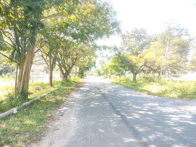 Image of 1200 Sq.ft Residential Plot / Land for sale in Koppa Gate, Bengaluru for Rs. 6000050