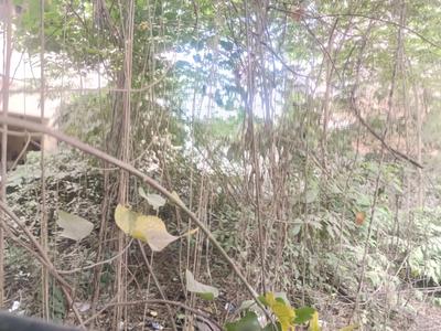 Image of 2250 Sq.ft Residential Plot / Land for sale in Velachery, Chennai for Rs. 26498250