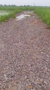 Image of 50 Sq.ft Residential Plot / Land for sale in Silani, Gurgaon for Rs. 750000