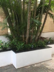 Balcony Image of 1850 Sq.ft 3 BHK Apartment / Flat for rent in Jayamahal Bengaluru for Rs. 85000