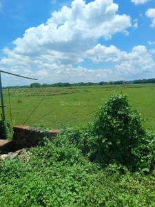 Image of 1200 Sq.ft Residential Plot / Land for sale in Pandav Nagar, Bhubaneswar for Rs. 4200000