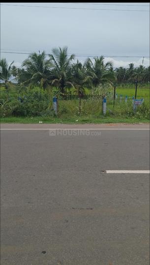 Alanganallur Main Image 1