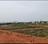 Patrapada Plot View 2