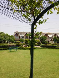 Image of 2560 Sq.ft 4 BHK Penthouse for rent in Millennium The Green County, Chohak Kallan Village, Jalandhar for Rs. 45000