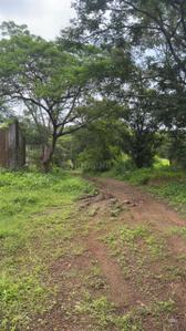 Image of 696960 Sq.ft Residential Plot / Land for sale in Murbad, Thane for Rs. 352000000