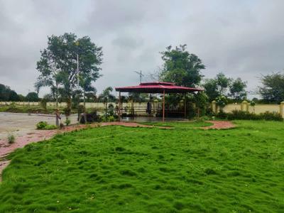 RR Pearl Leaf Plot View 2