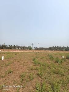 Morampudi Plot View 3
