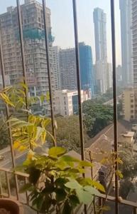 Balcony Image of 390 Sq.ft 1 RK Apartment / Flat for sale in Chinchpokli Mumbai for Rs. 12000000