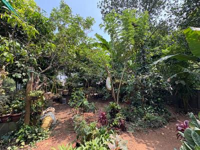 Image of 2500 Sq.ft 3 BHK Independent House for sale in Alangad, Kochi for Rs. 11000000