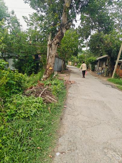 Sonarpur Main Image 1
