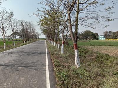 Image of 1200 Sq.ft Residential Plot / Land for sale in Bihta, Patna for Rs. 838800