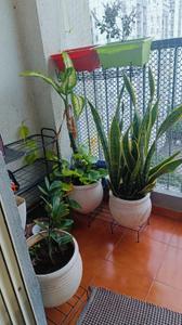 Balcony Image of 670 Sq.ft 1 BHK Apartment / Flat for rent in TCG The Cliff Garden Apartments, Hinjawadi Phase 3 Pune for Rs. 26500