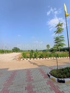 Image of 500 Sq.ft Residential Plot / Land for sale in Emaar The Villas, Sector 105, Mohali for Rs. 63100000