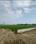 The Royal Green Noida Sector 148 Plot View 2