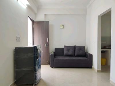 1 BHK Flat