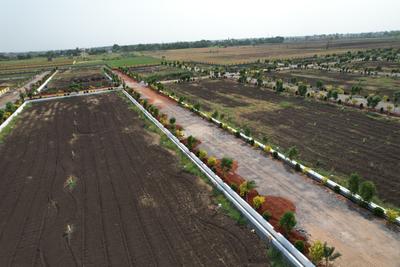 Image of 1818 Sq.ft Residential Plot / Land for sale in Punadipadu, Vijayawada for Rs. 3636000