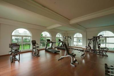 Image of 893 Sq.ft 2 BHK Apartment / Flat for sale in Dynamic Grandeur Premium I, Undri, Pune for Rs. 5500000