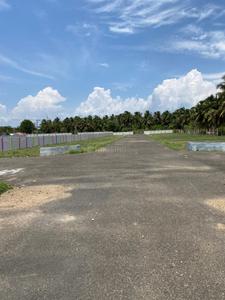 Gomangalampudur Plot View 3