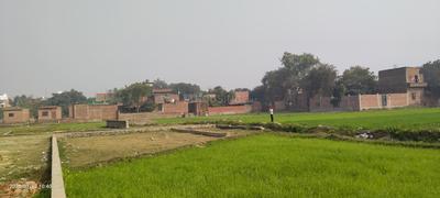 Parao Plot View 2