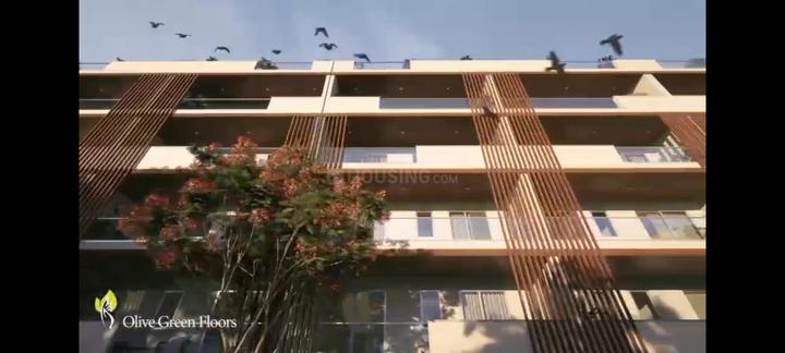 M2K Olive Greens Main Image 1