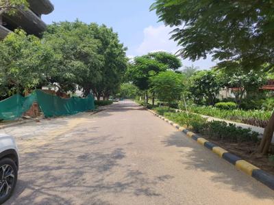 DLF Alameda Internal Roads 2