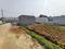 Thathaguni Main Image 1