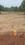 Sai hima Bindu farm lands Plot View 2