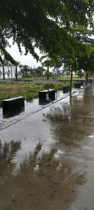 Image of 800 Sq.ft Residential Plot / Land for sale in Nainod, Indore for Rs. 3880000