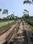 Bhasa Eco Village Internal Roads 2