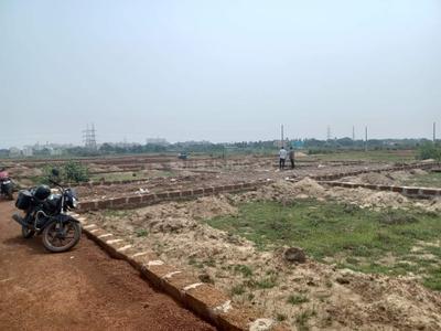 Patrapada Plot View 3