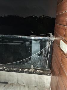 Balcony Image of 450 Sq.ft 1 BHK Builder Floor for rent in Shastri Nagar New Delhi for Rs. 21000