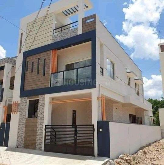 SIGNATURE JK GOLDEN CTO COLONY Main Image 1