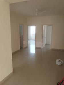 Hall Image of 1650 Sq.ft 3 BHK Builder Floor for rent in Emaar Emerald Floors Premier, Sector 65 Gurgaon for Rs. 62000