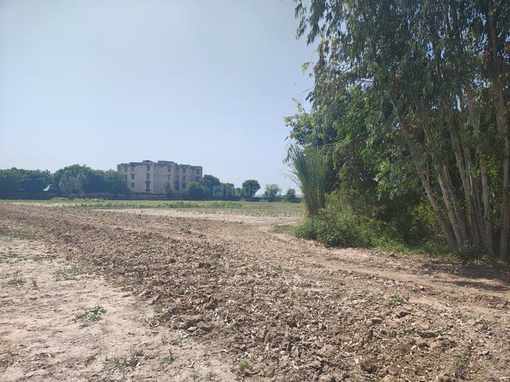 Sector 7 Sohna Main Image 1