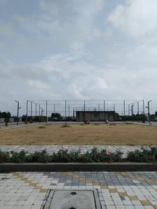 Ringnodiya Plot View 3