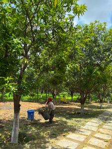 Image of 4000 Sq.ft 3 BHK Farm House for sale in Peddapur, Sangareddy for Rs. 37500000