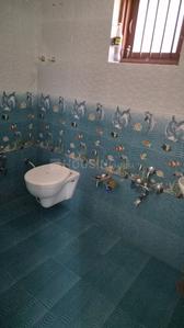 Image of 1250 Sq.ft 3 BHK Independent House for rent in Kaliyabid, Bhavnagar for Rs. 18000