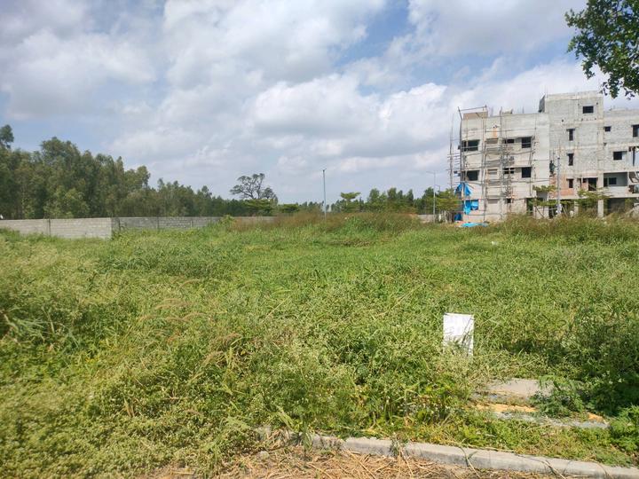 AP Township Main Image 1