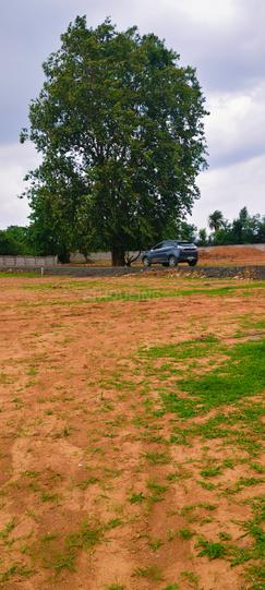Patel Nagar Main Image 1