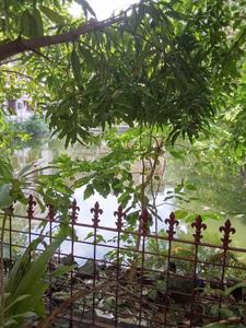 Image of 2400 Sq.ft 4 BHK Independent House for sale in Jadavpur, Kolkata for Rs. 15000000