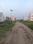 Reolta Housing Complex Internal Roads 2