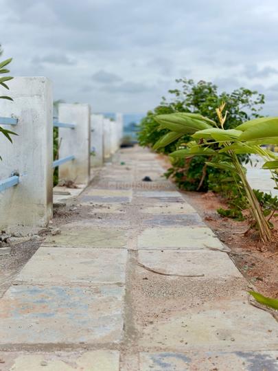 Celestial Main Image 1