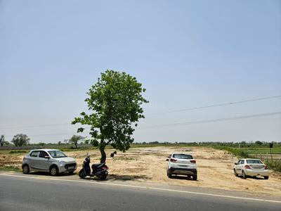 Ral Plot View 1