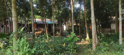 Image of 3526 Sq.ft Residential Plot / Land for sale in Payradanga, Nadia for Rs. 2650000