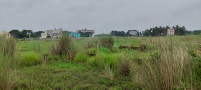 Uttara Plot View 2