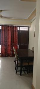 Hall Image of 2500 Sq.ft 2 BHK Apartment / Flat for rent in Ashok Nagar Jaipur for Rs. 43000