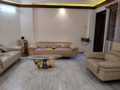 Living Room Image of 2000 Sq.ft 3 BHK Apartment / Flat for rent in Palasia Indore for Rs. 60000